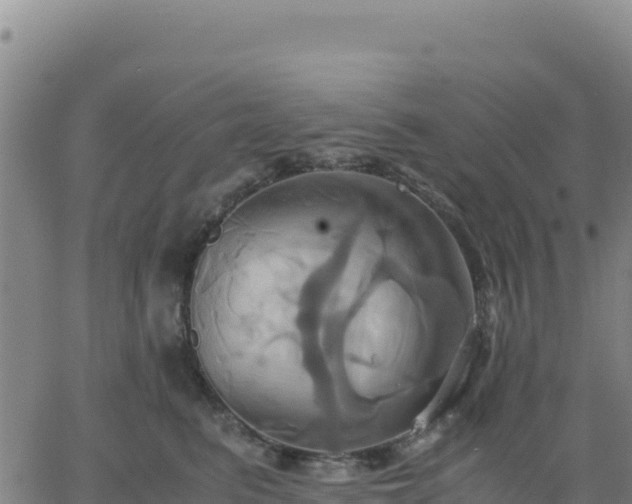 X0000063470615200601271631