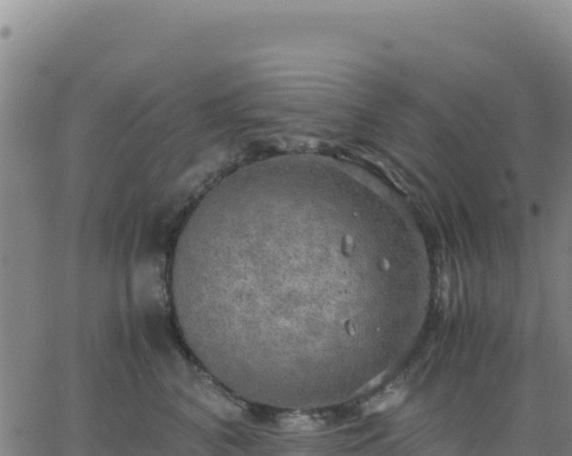 X0000063470616200601271631