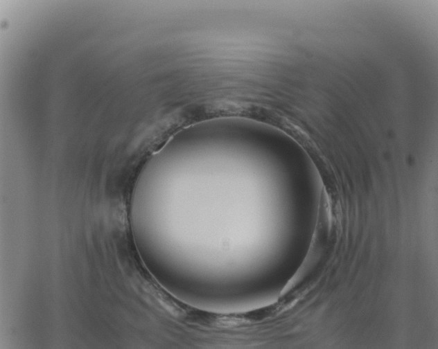 X0000063470617200601271631