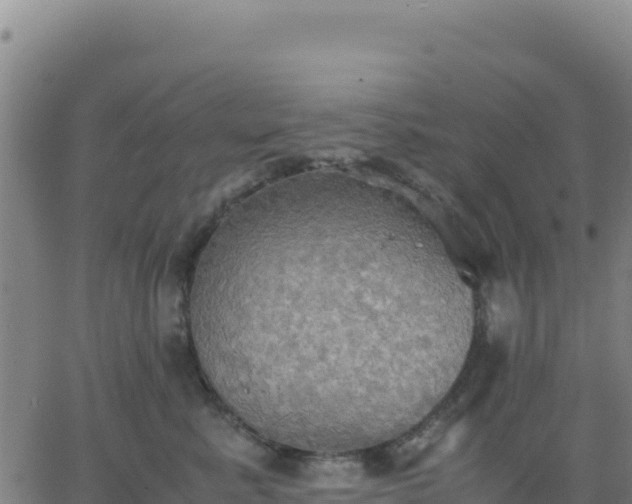 X0000063470619200601271631