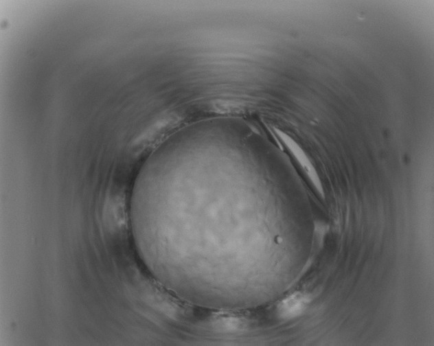 X0000063470620200601271631