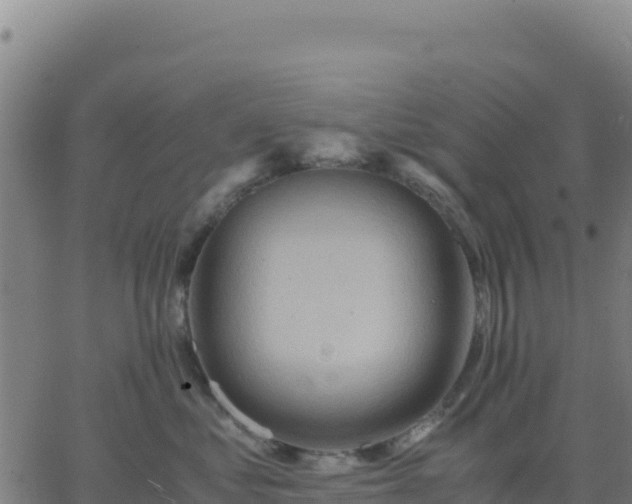 X0000063470621200601271631