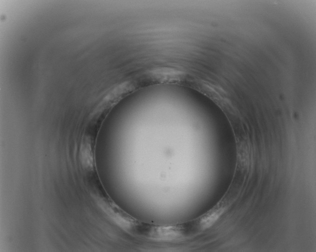 X0000063470622200601271631