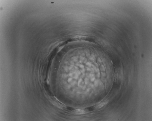 X0000063470623200601271631