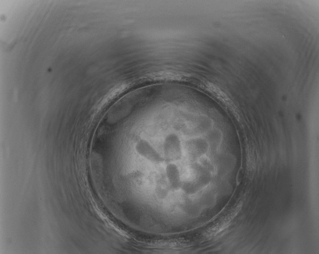 X0000063470625200601271630