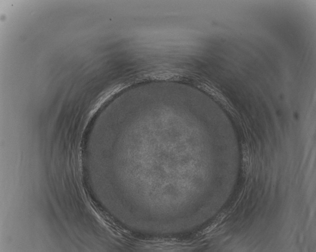 X0000063470626200601271630