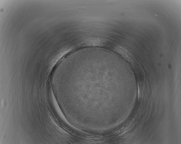 X0000063470627200601271630