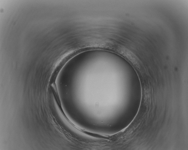 X0000063470628200601271630