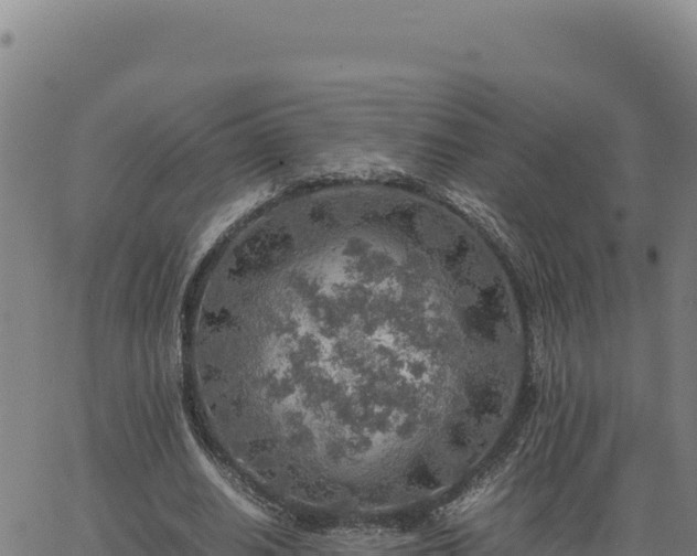 X0000063470630200601271630