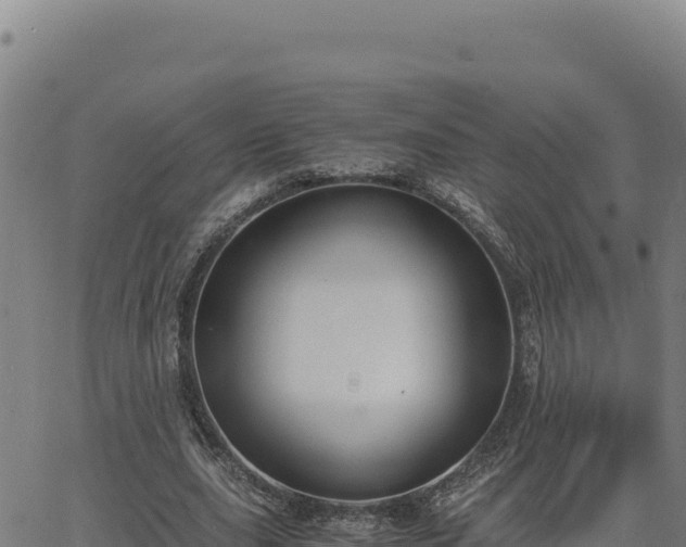 X0000063470631200601271630