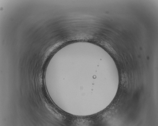 X0000063470632200601271630