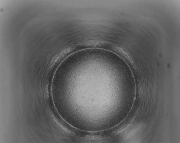 X0000063470633200601271630