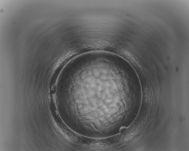 X0000063470634200601271630