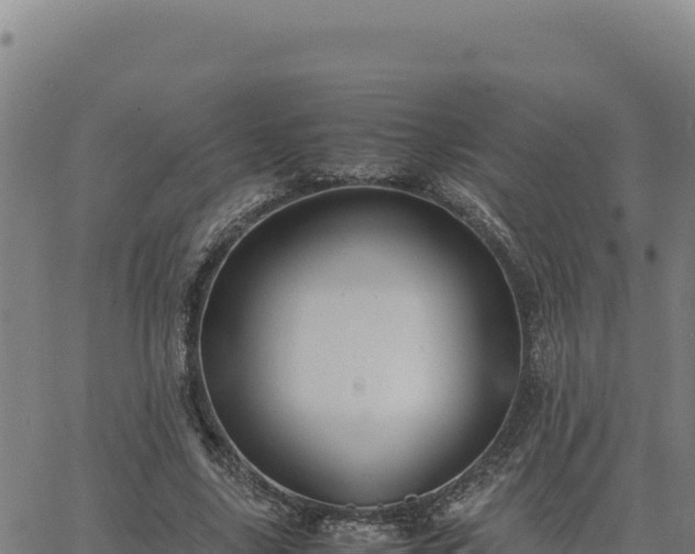 X0000063470635200601271630