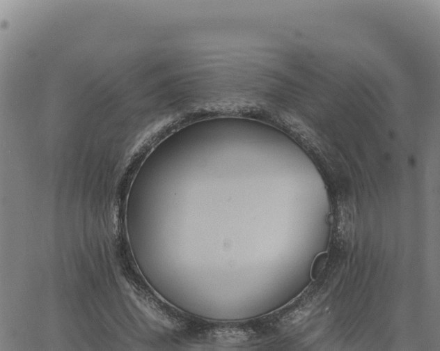 X0000063470636200601271630