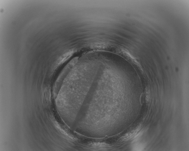 X0000063470637200601271630