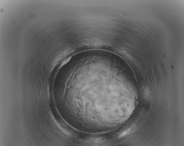 X0000063470638200601271630