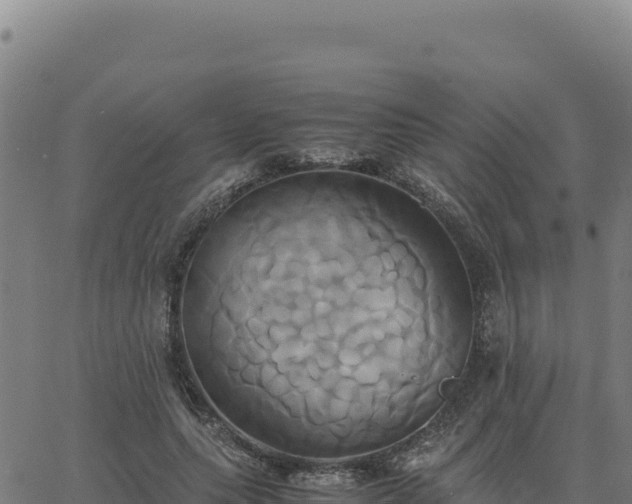 X0000063470639200601271630