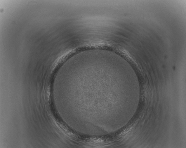 X0000063470640200601271630