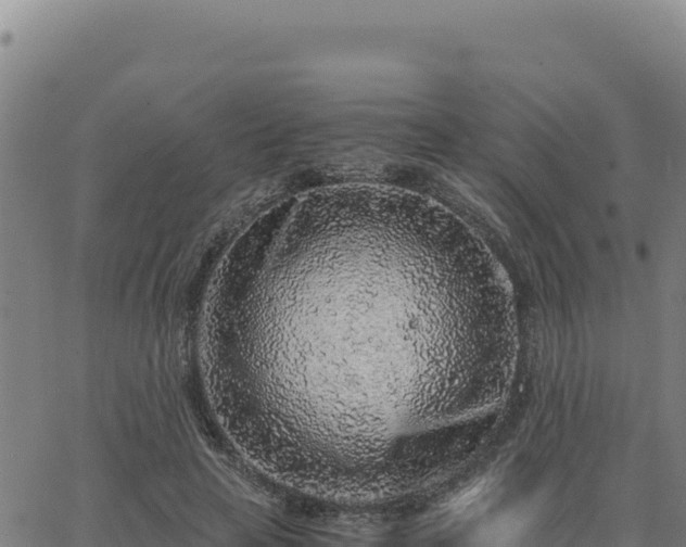 X0000063470641200601271630