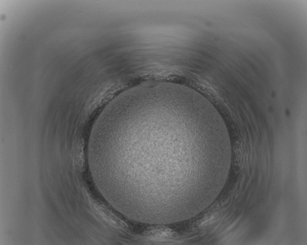 X0000063470642200601271630