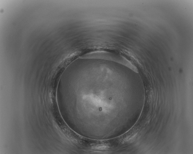 X0000063470643200601271630