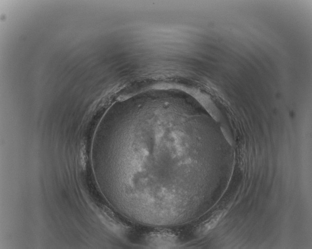 X0000063470644200601271630