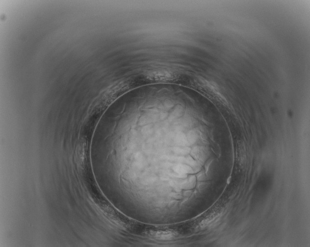 X0000063470645200601271630