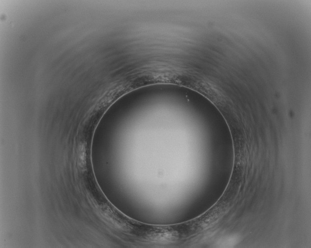 X0000063470646200601271630