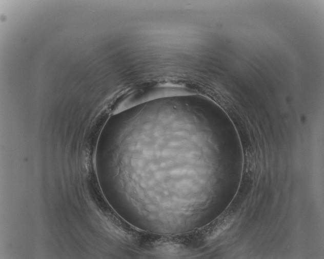 X0000063470648200601271631