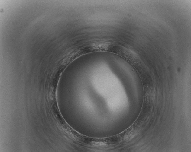 X0000063470649200601271631