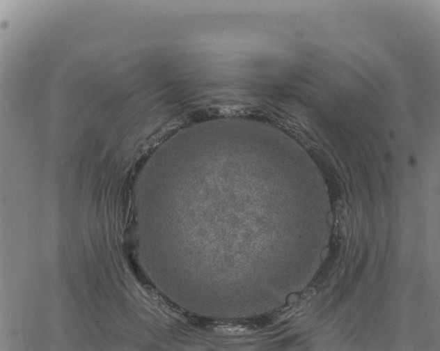 X0000063470650200601271631