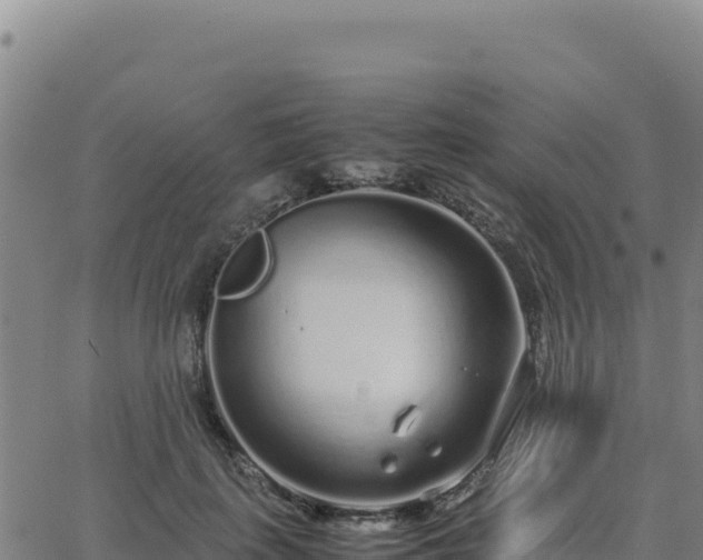 X0000063470651200601271631