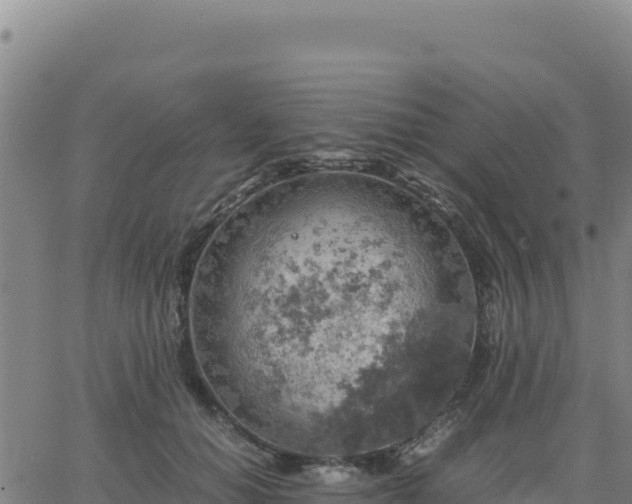 X0000063470654200601271631