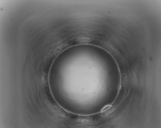 X0000063470655200601271631