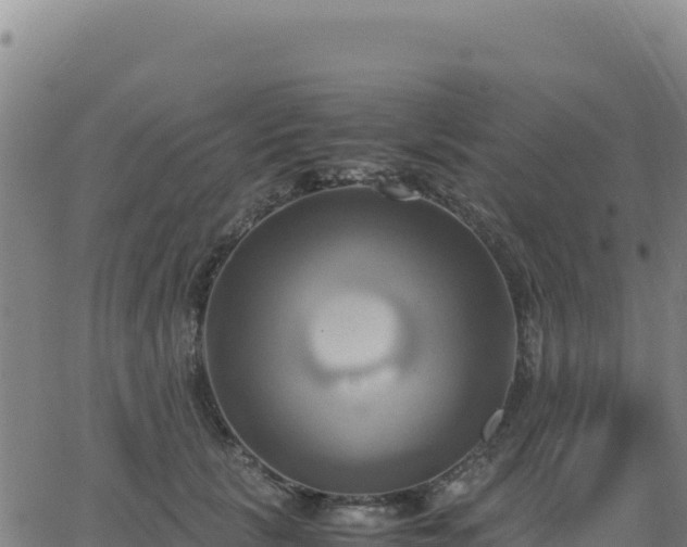 X0000063470657200601271631