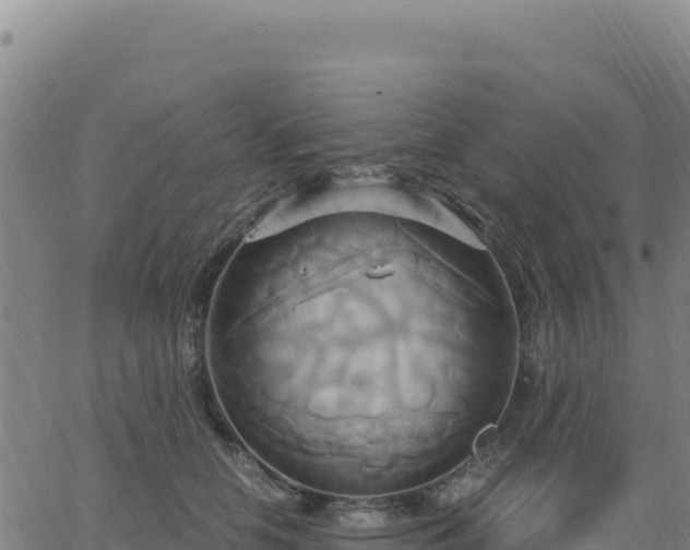 X0000063470658200601271631