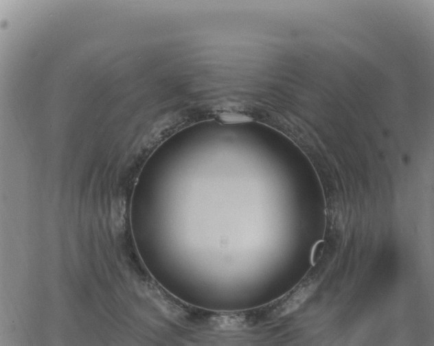 X0000063470660200601271631