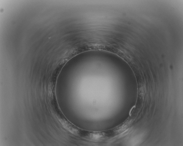 X0000063470662200601271631