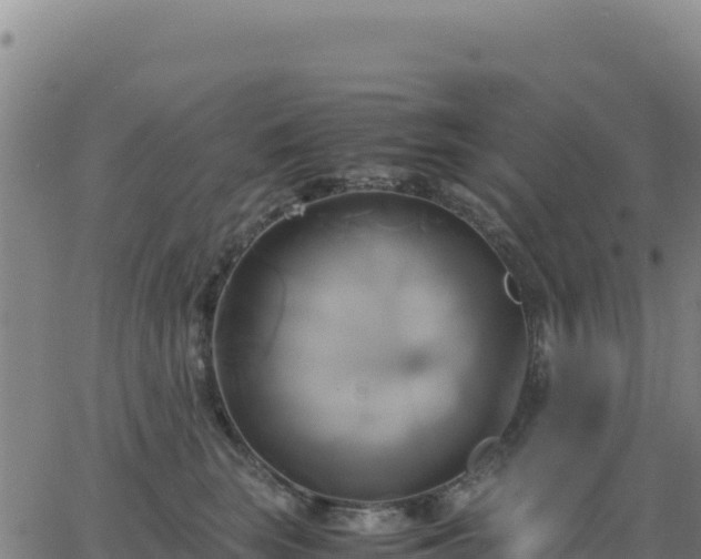 X0000063470663200601271631