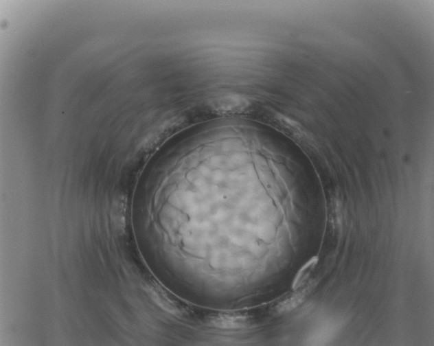 X0000063470664200601271631