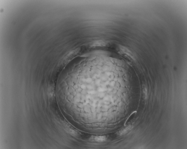 X0000063470665200601271631