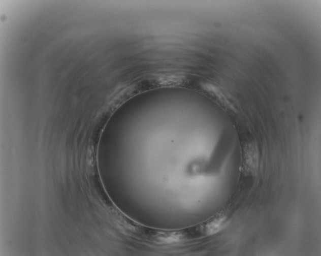 X0000063470667200601271631