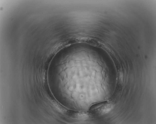 X0000063470668200601271631