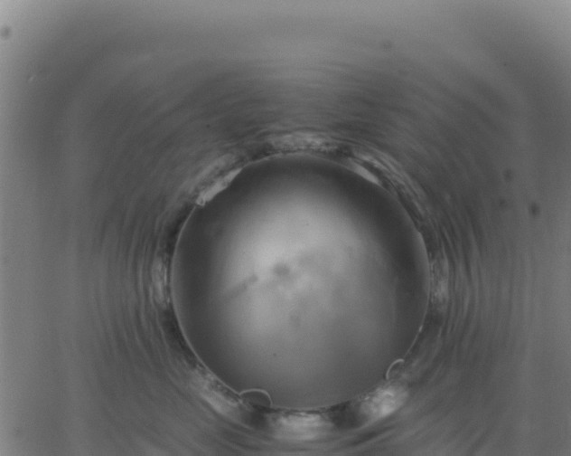 X0000063470669200601271631