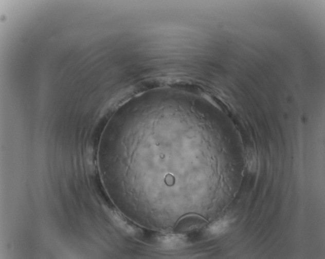 X0000063470670200601271631