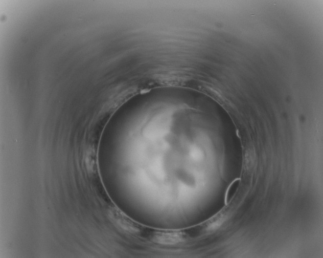 X0000063470671200601271631