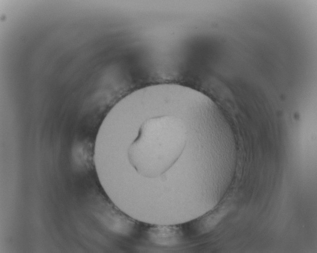 X0000063470672200601271631