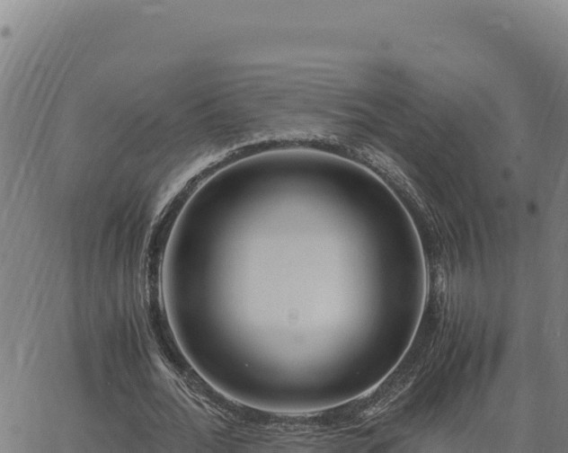 X0000063470676200601271630