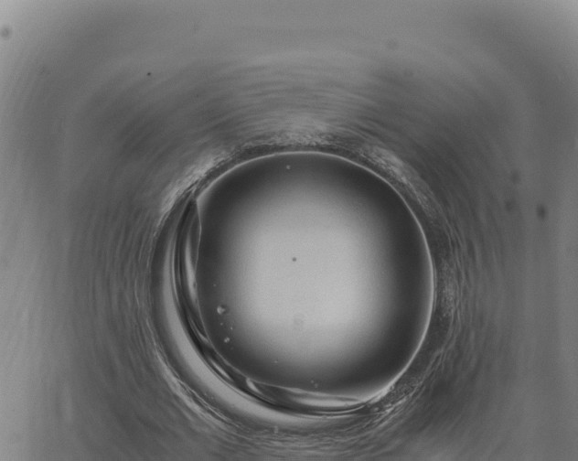 X0000063470677200601271630